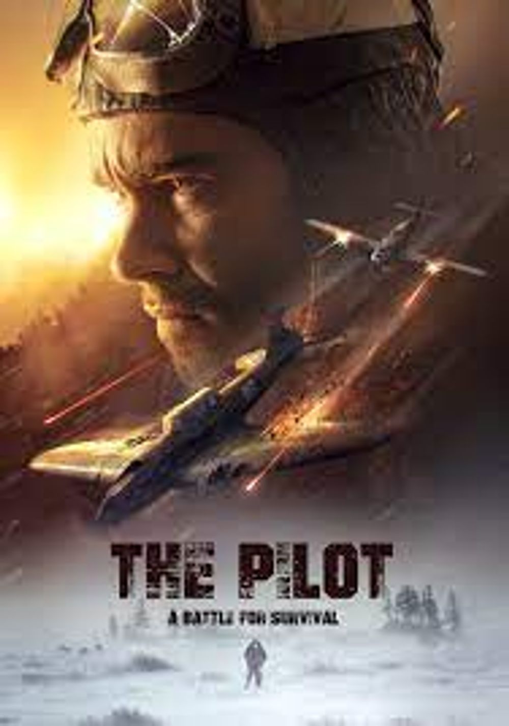 The Pilot A Battle For Survival poster