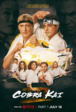 Cobra Kai poster