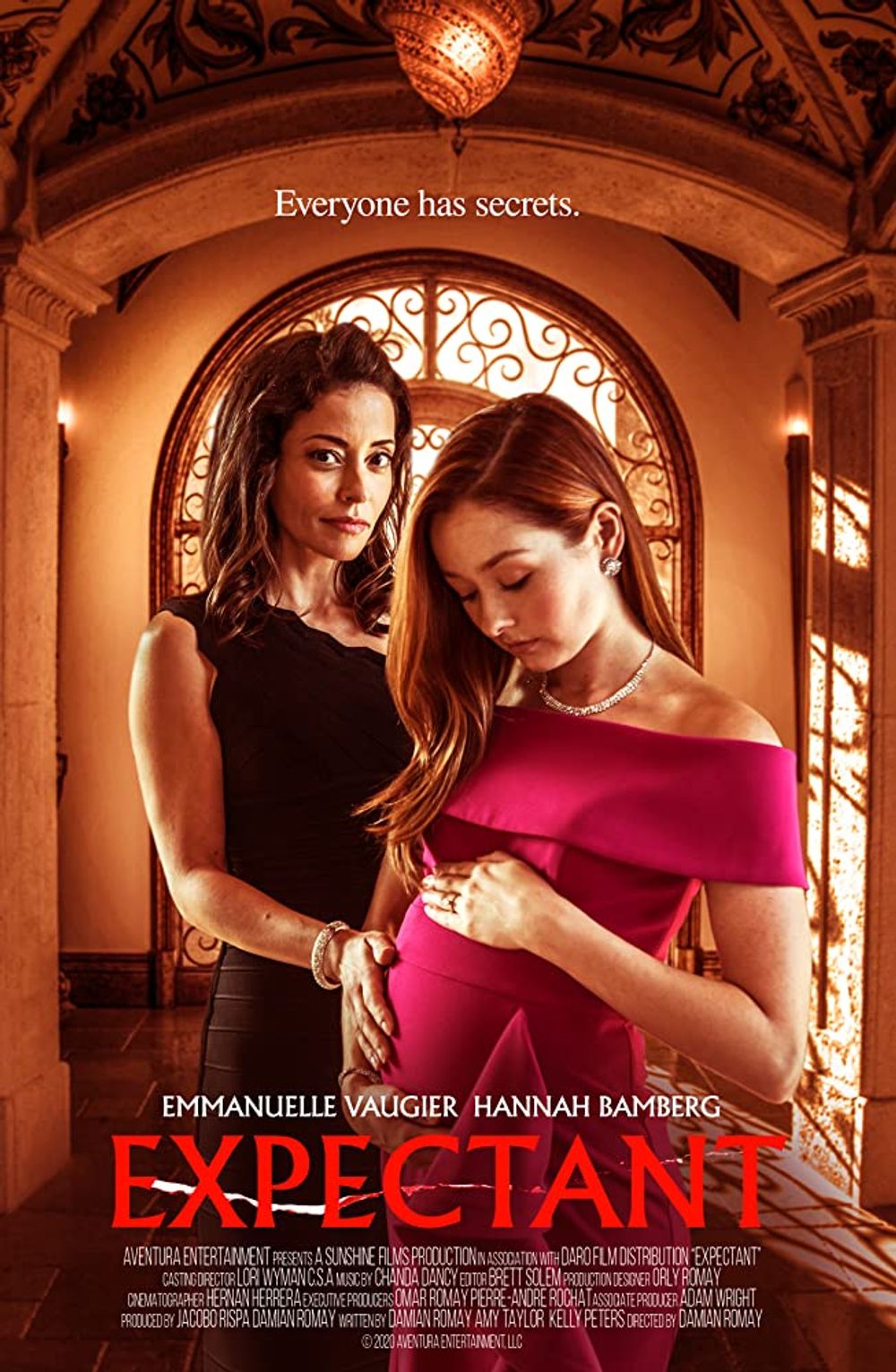 Dying for Motherhood poster