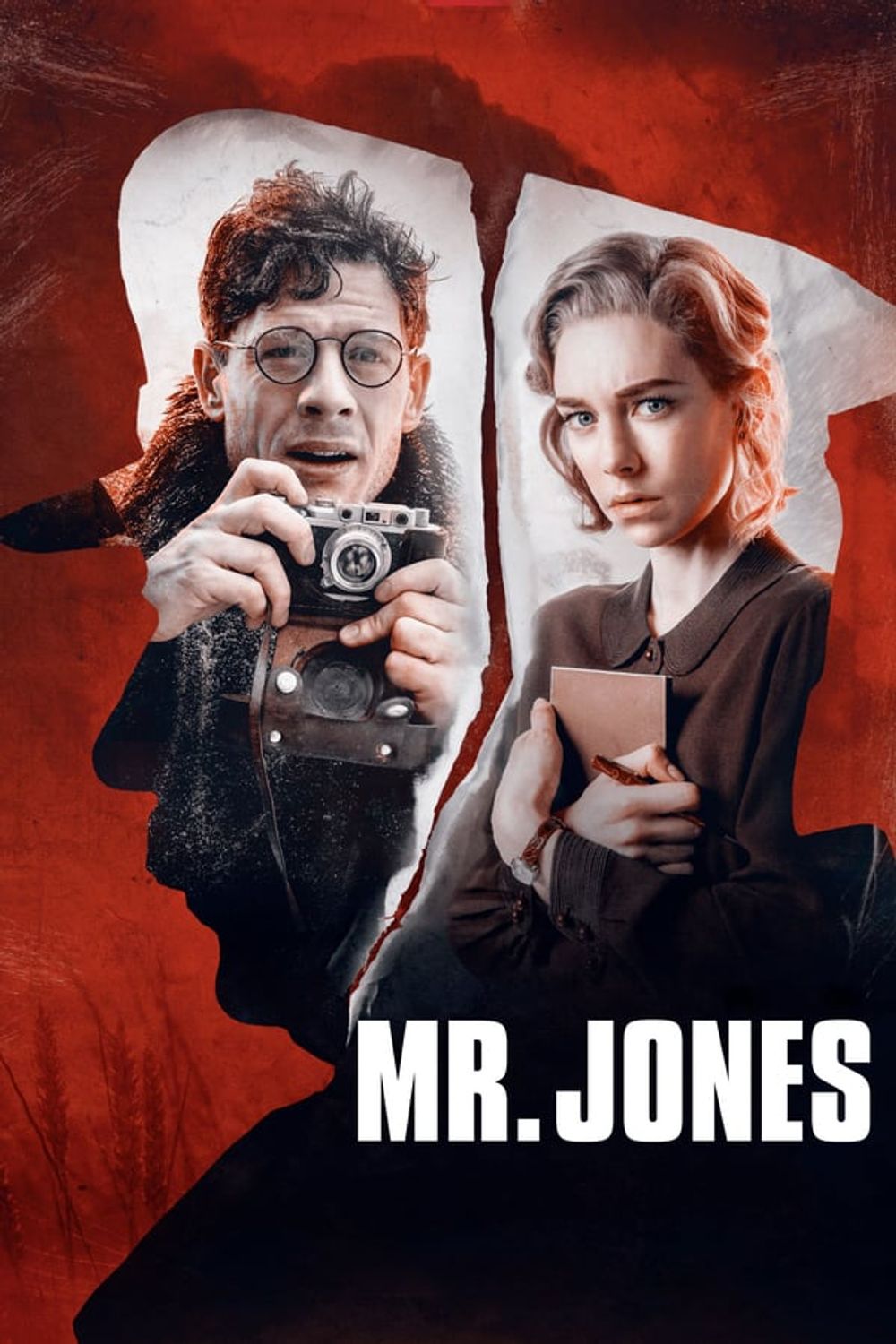 Mr Jones poster