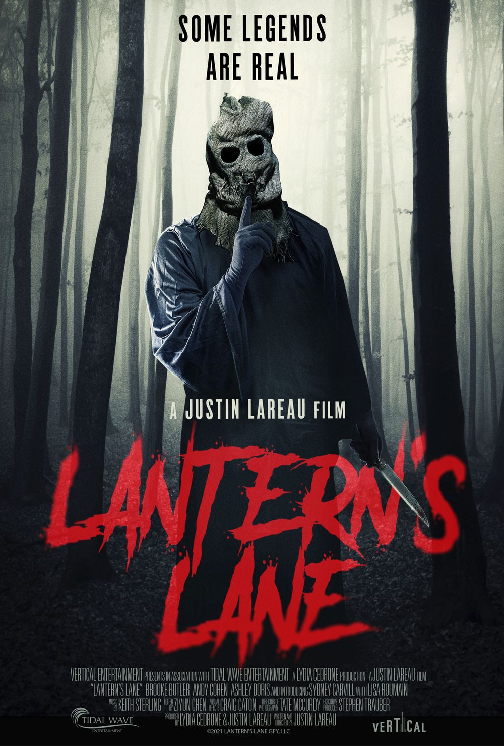 Lanterns Lane poster