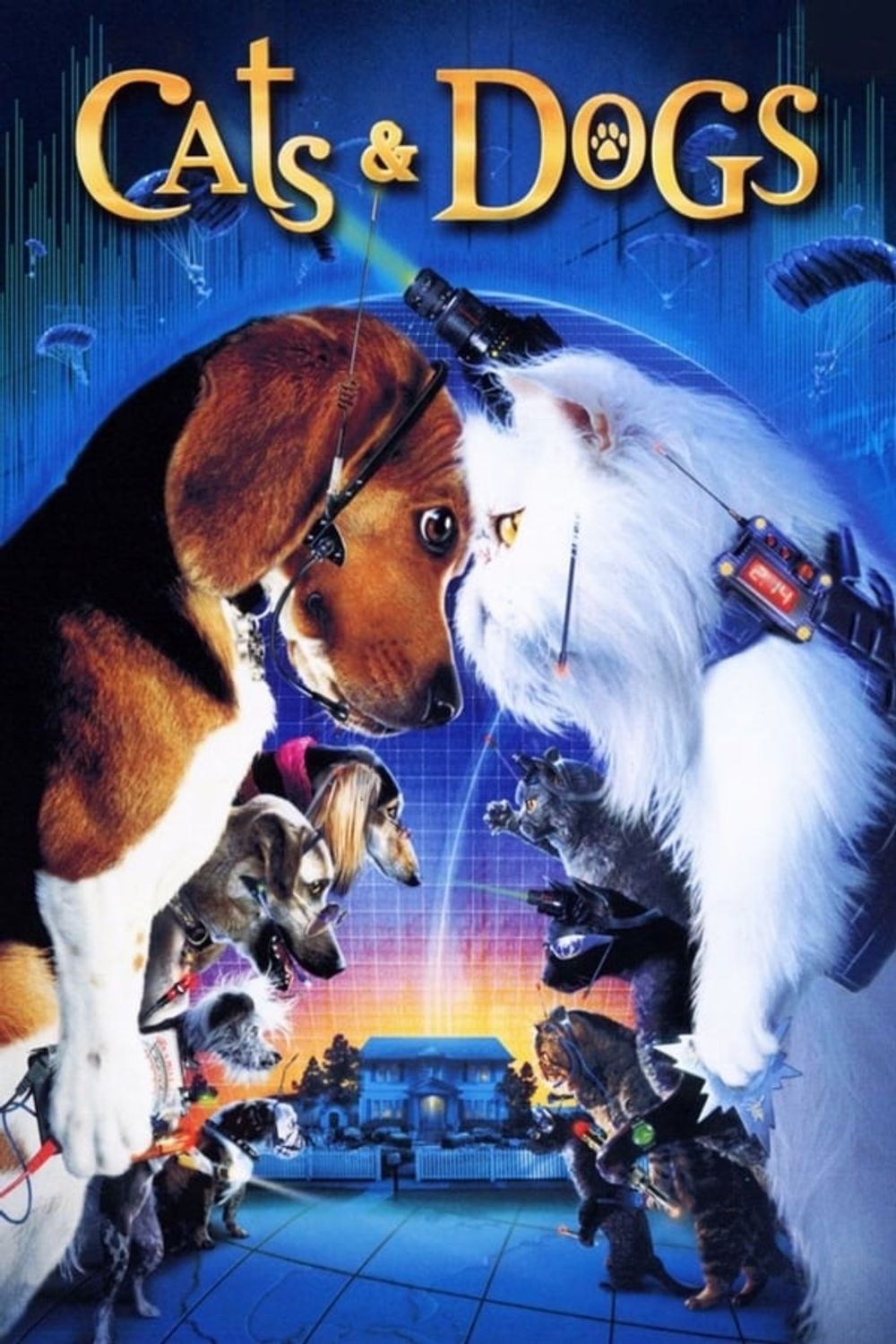 Cats And Dogs poster