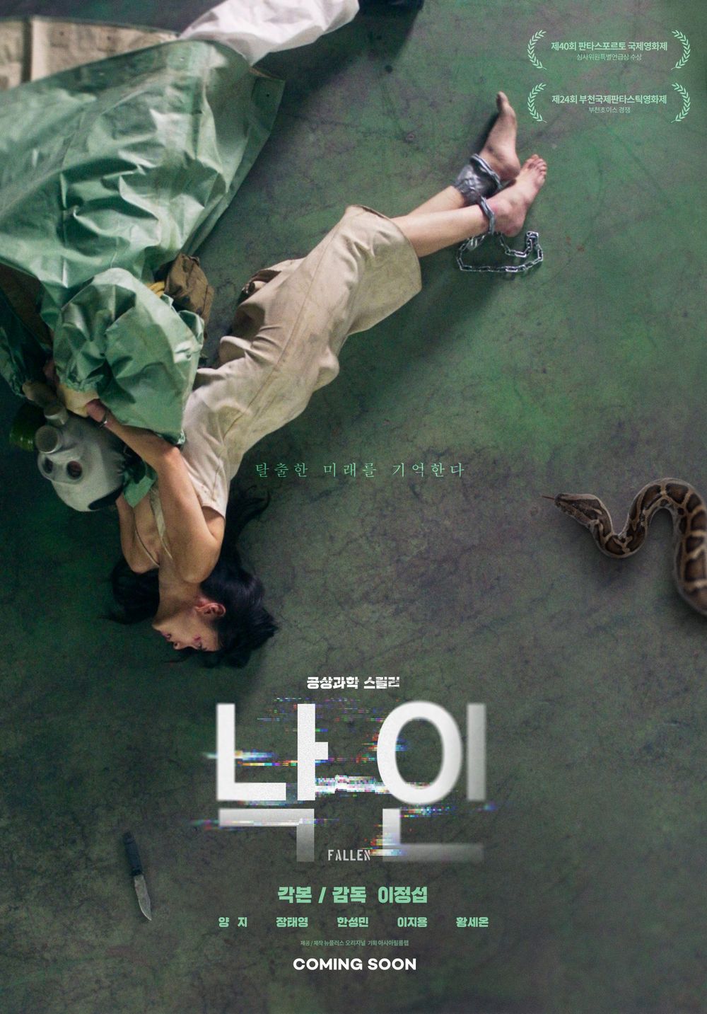 Fallen poster