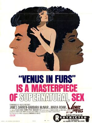 Venus in Furs poster