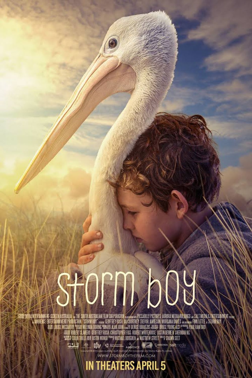 Storm Boy poster