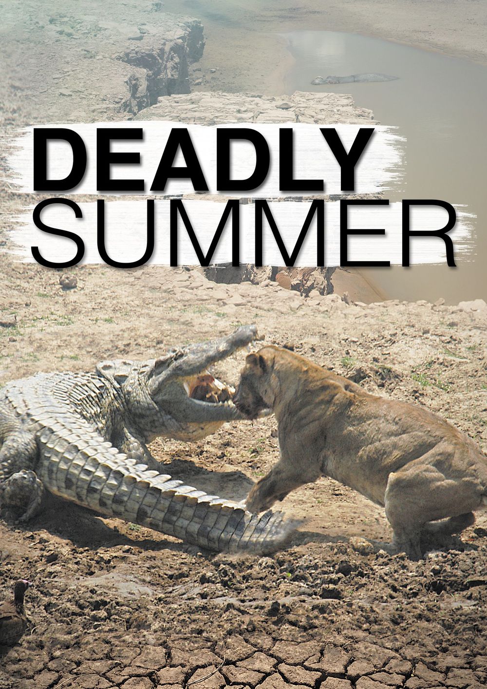 Deadly Summer poster