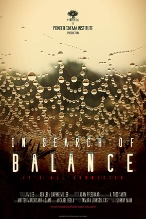 In Search of Balance poster