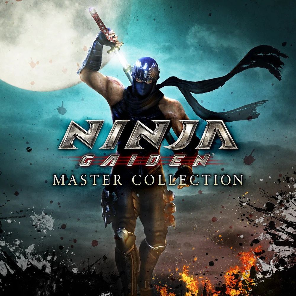 Ninja Gaiden & poster
