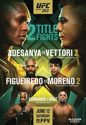 UFC poster
