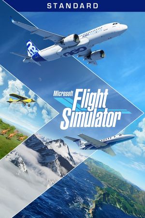 Microsoft Flight Simulator & poster