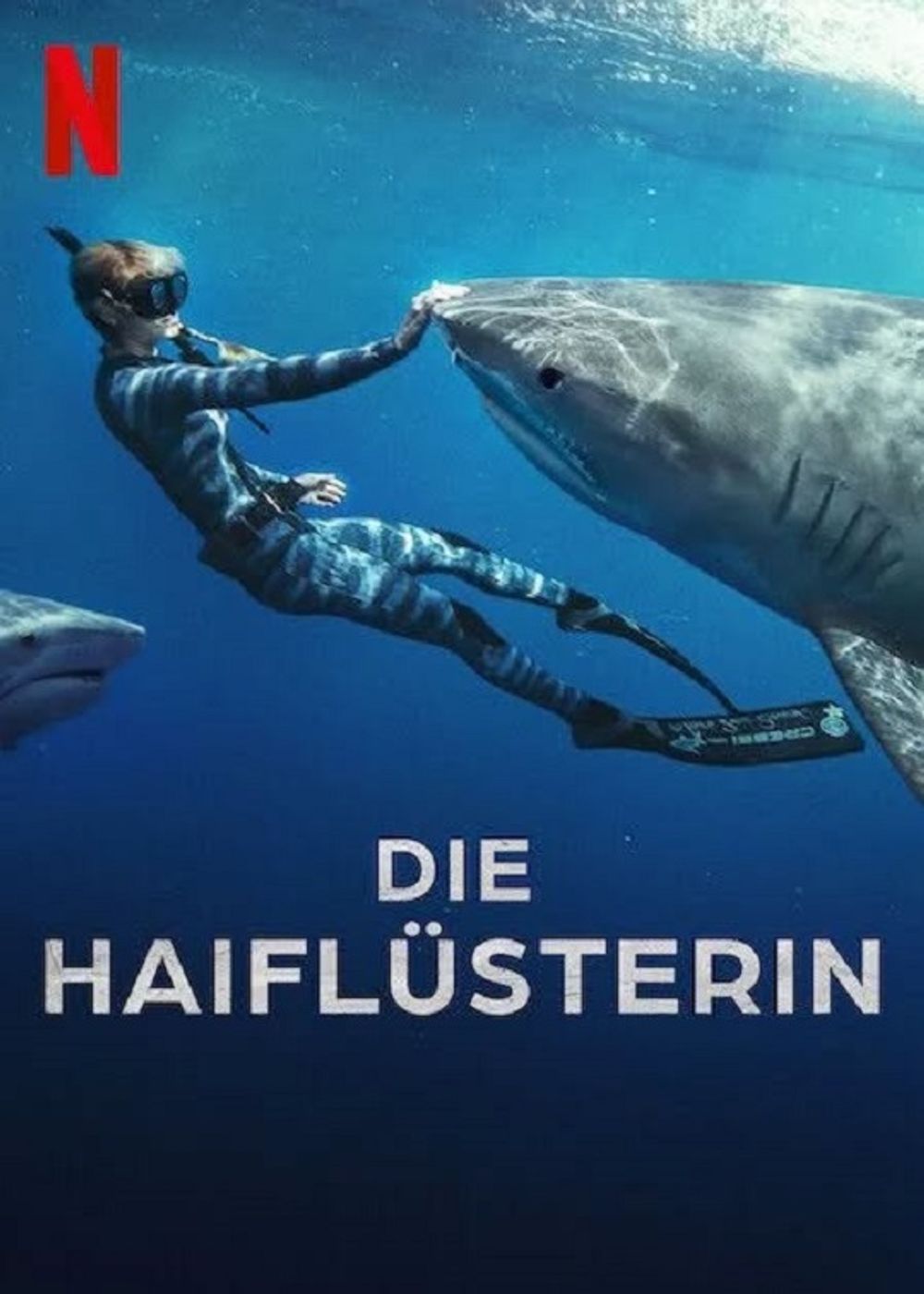 Shark Whisperer poster