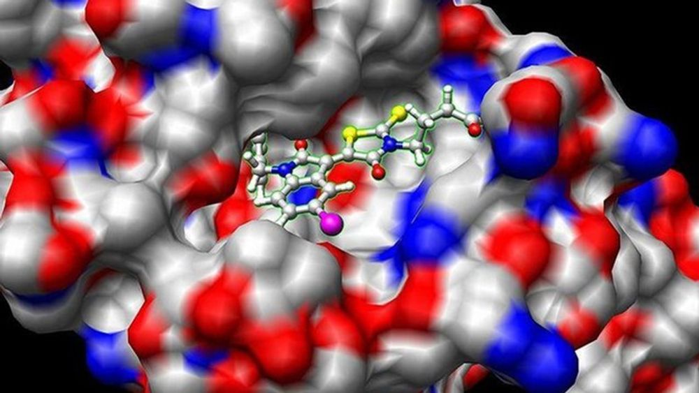 Udemy - Bioinformatics - Learn Docking & Mol Dynamics Simulation poster