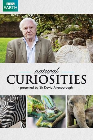 David Attenborough& poster