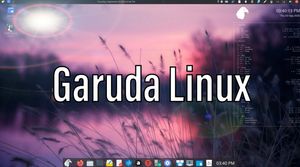 Garuda Gaming Linux bmq 210107 poster