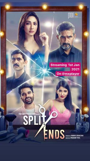 Split Ends poster