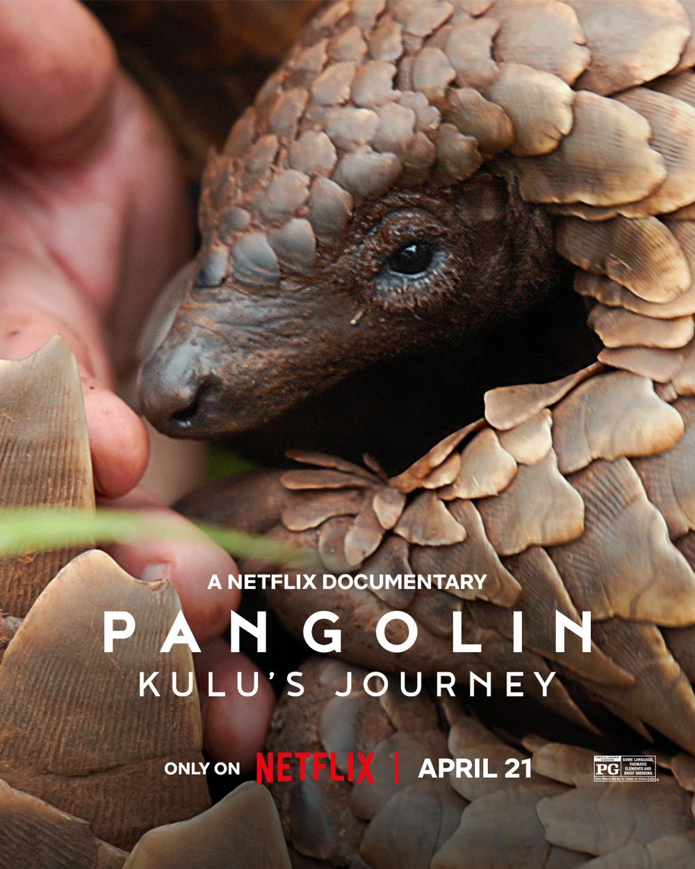 Pangolin Kulu's Journey poster