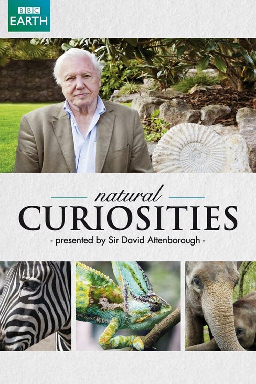 David Attenborough& poster