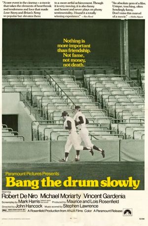 Bang the Drum Slowly poster