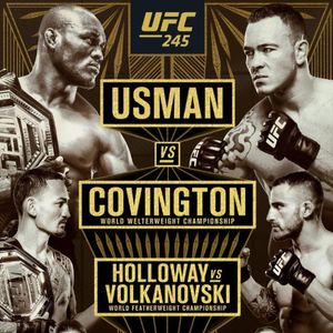 UFC poster