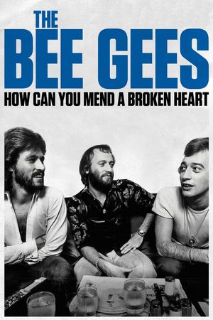The Bee Gees How Can You Mend a Broken Heart poster