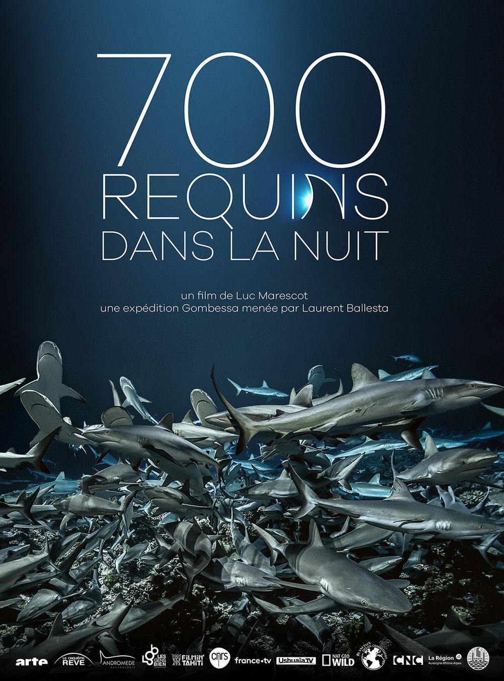 700 Sharks poster