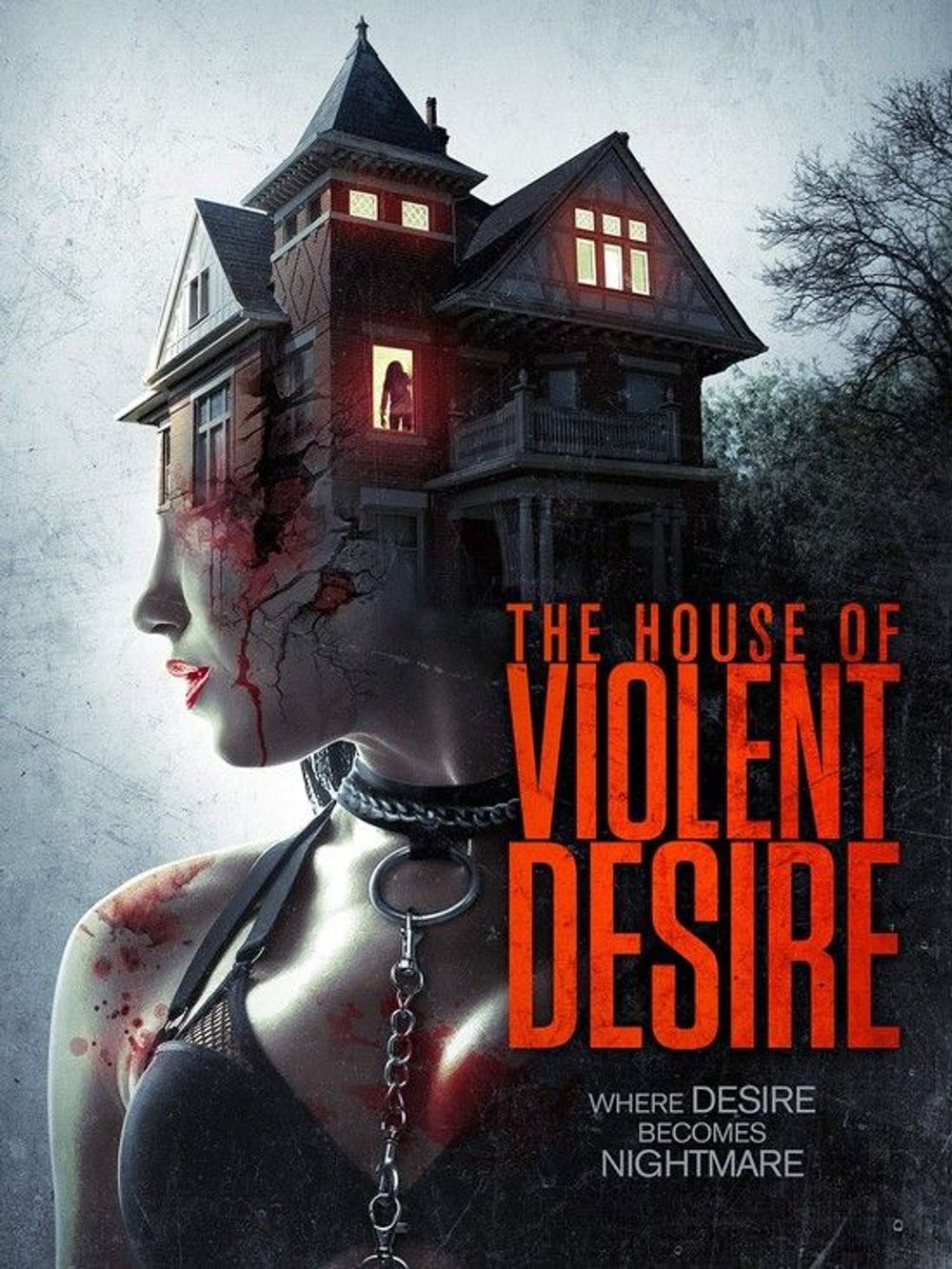 The House of Violent Desire poster