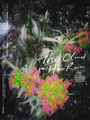 The Cloud in Her Room poster