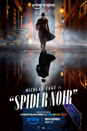 Spider-Noir poster