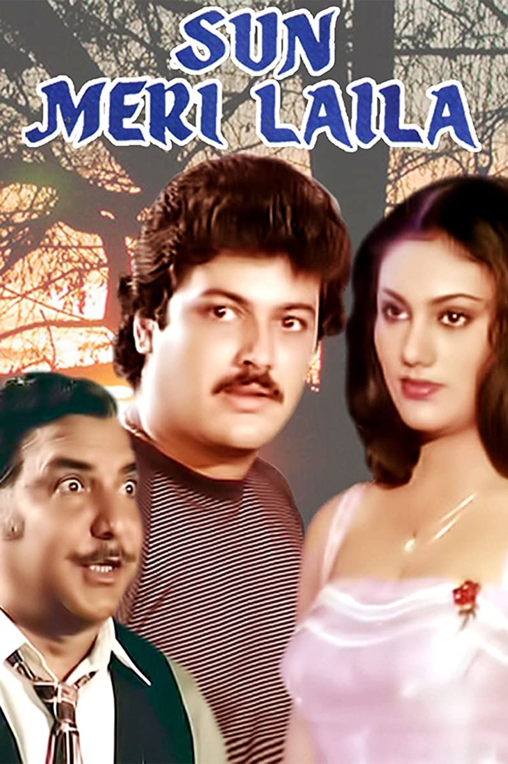 Sun Meri Laila poster