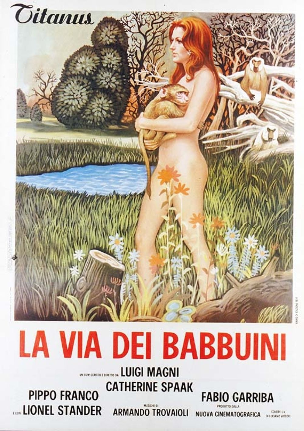 The Way of the Baboons poster
