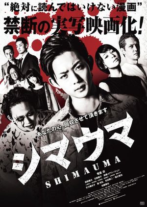 Zebra poster