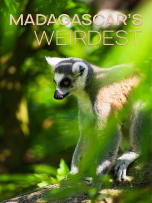 Madagascar Weirdest poster