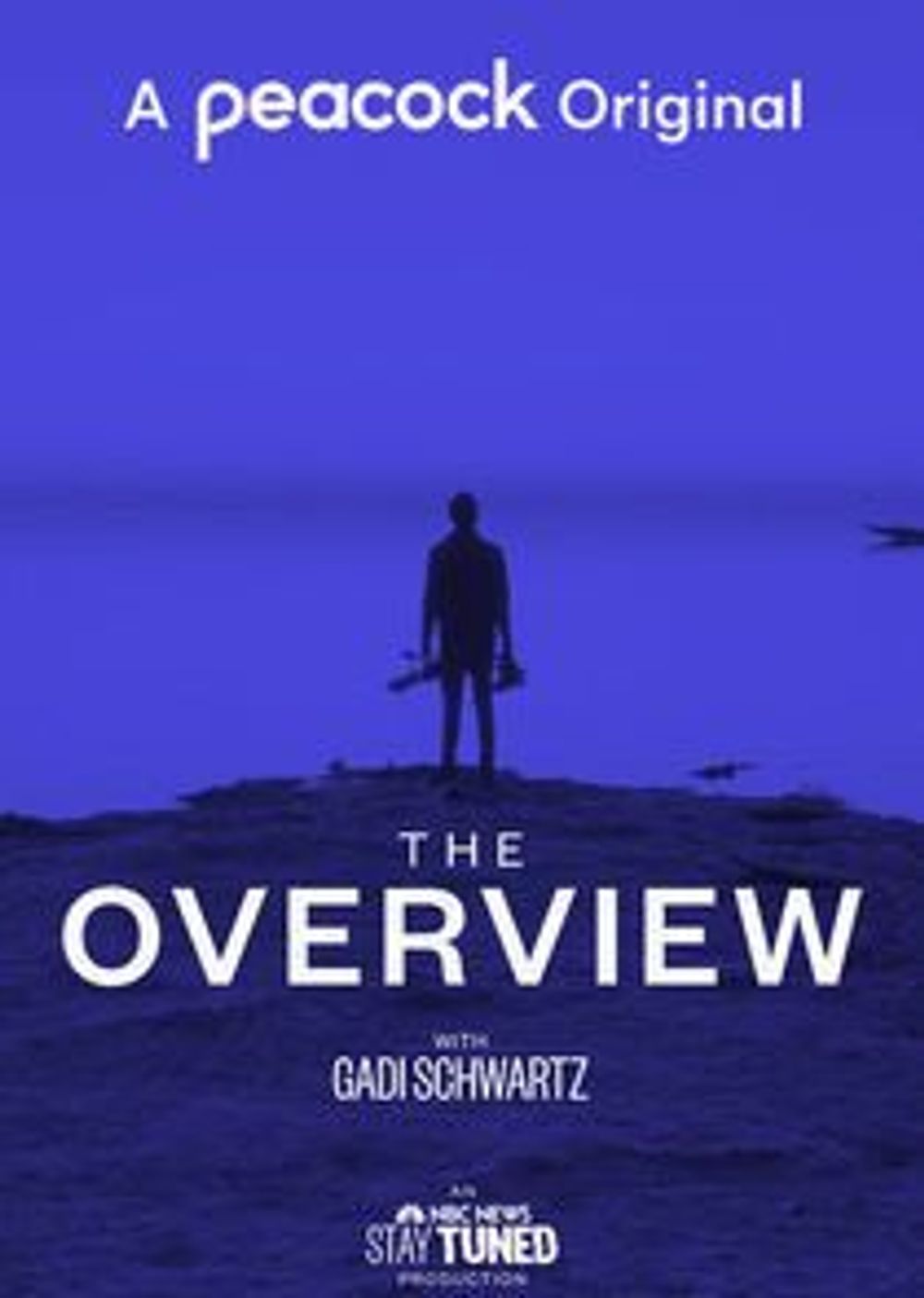 The Overview poster