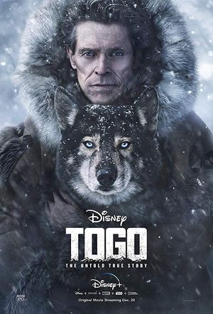 Togo poster