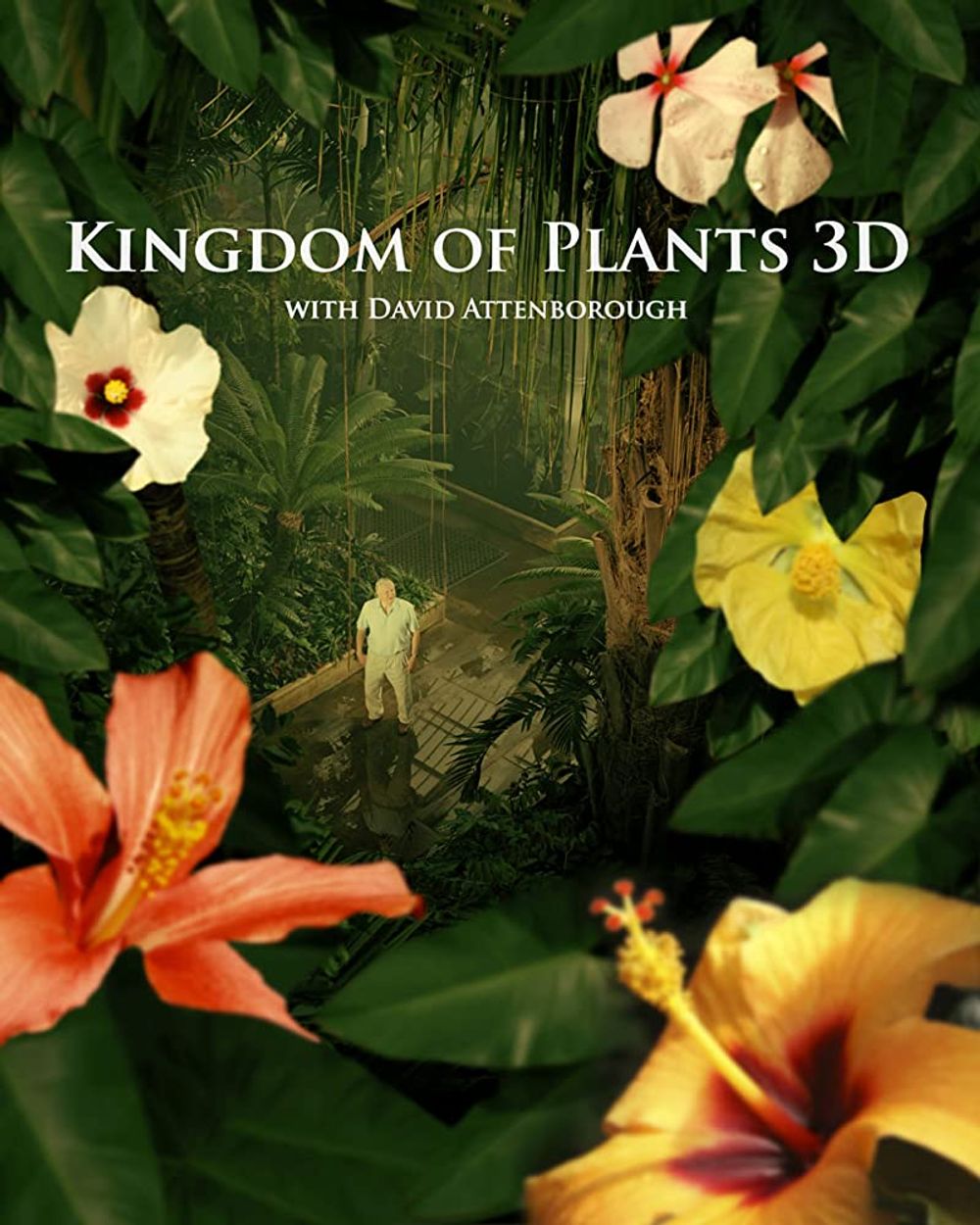 Kingdom of Plants poster