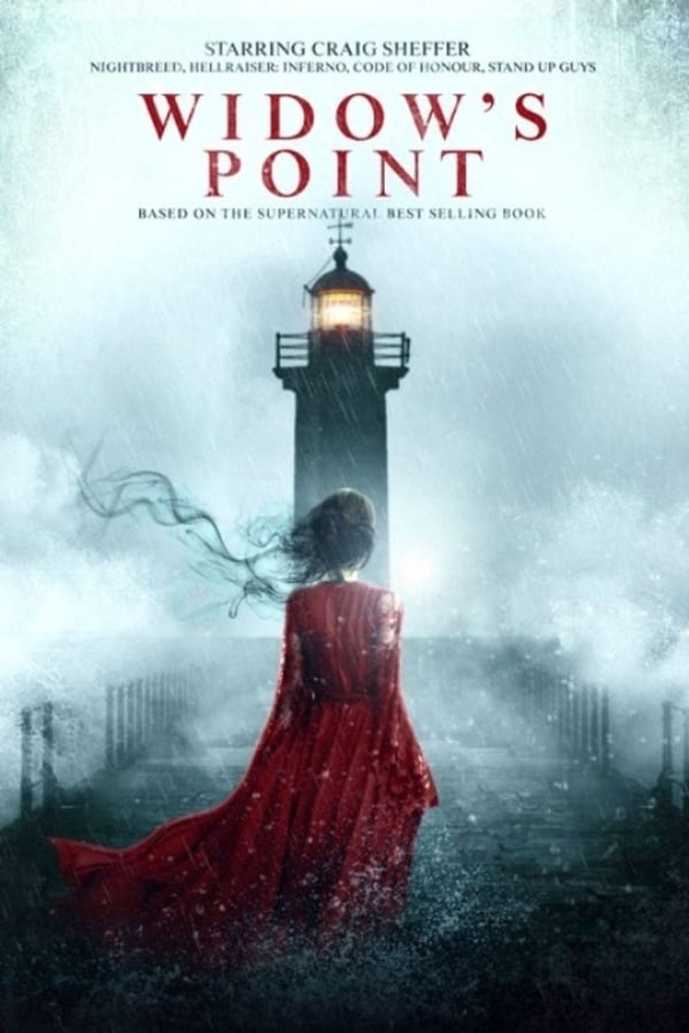Widows Point poster