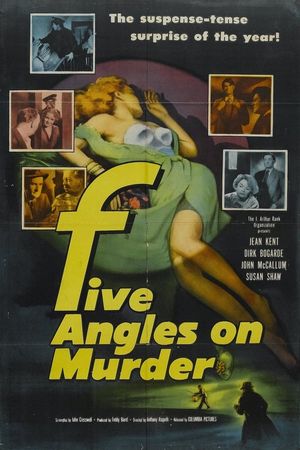 The Woman in Question poster
