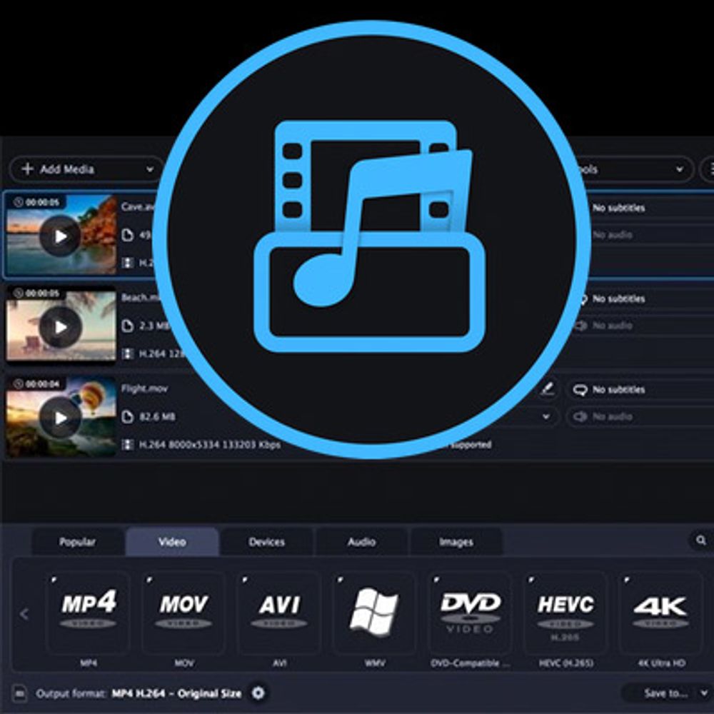 Movavi Video Converter poster