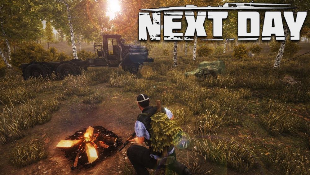 Next Day - Survival poster