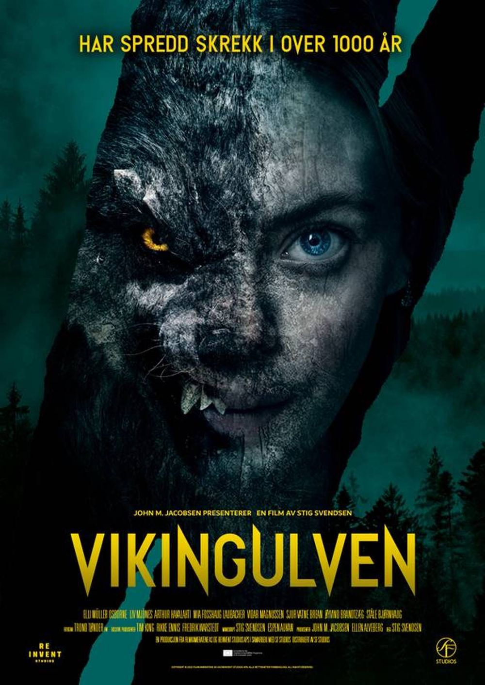 Viking Wolf poster