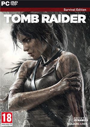 Tomb Raider - Survival Edition poster
