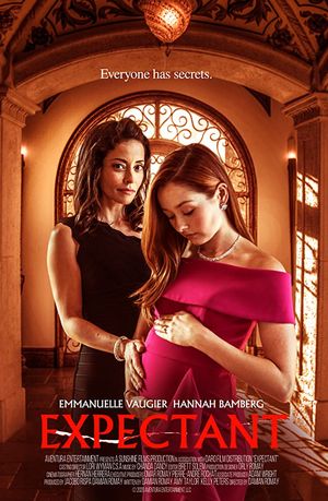 Dying for Motherhood poster