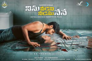 Ninu Veedani Needanu Nene poster