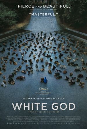 White God poster