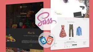 Udemy - SASS & poster