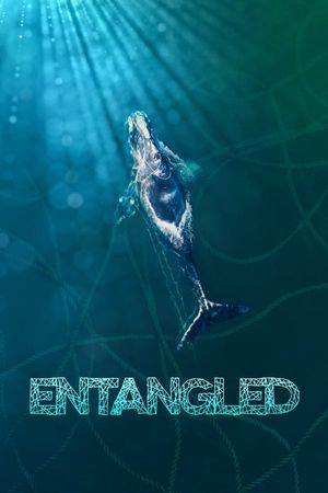 Entangled The Race to Save Right Whales from Extinction poster
