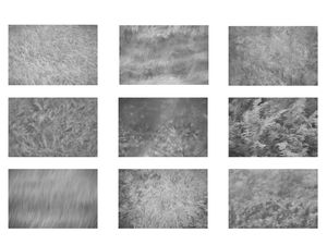Texture Collections poster