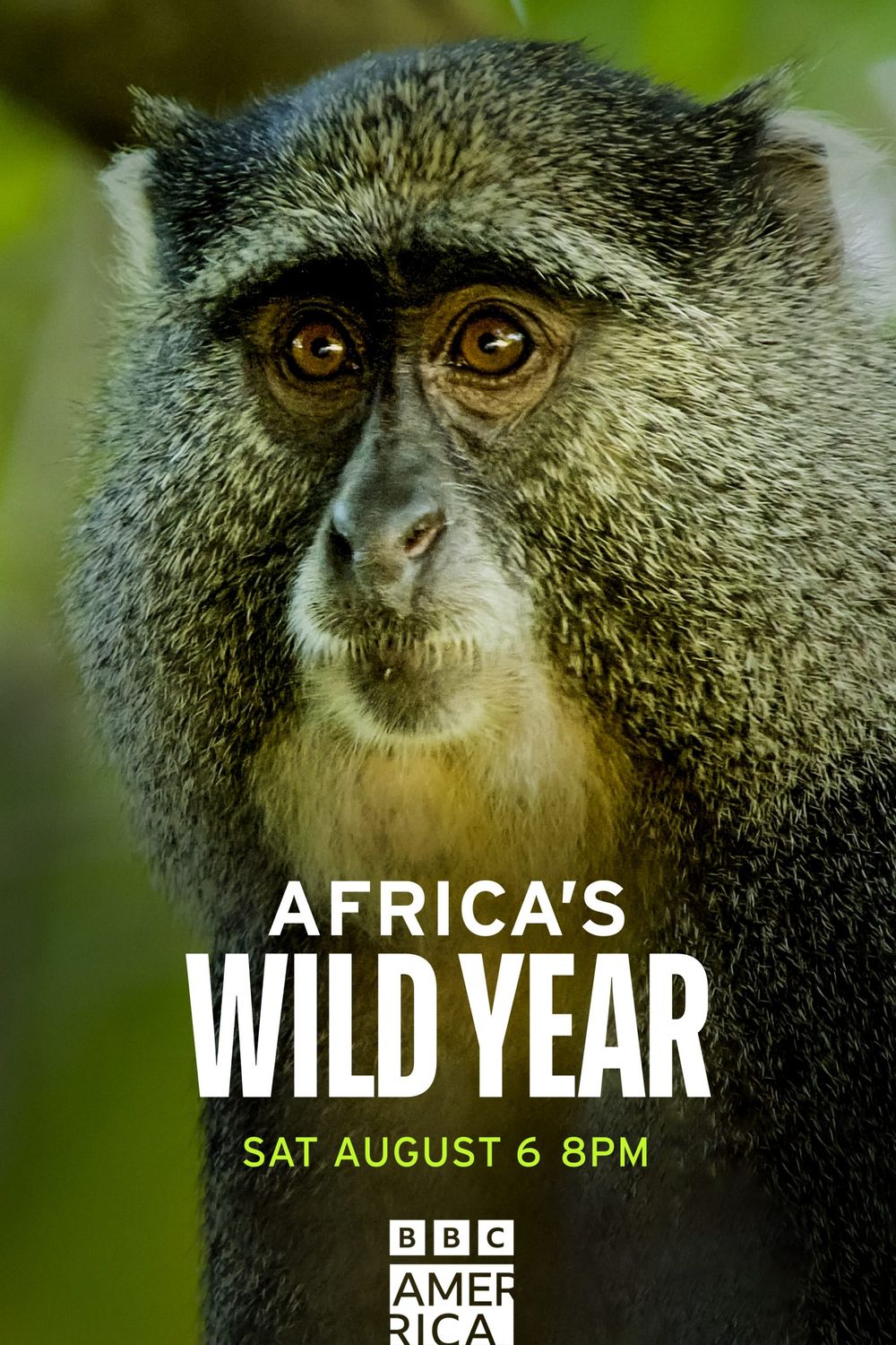 Africa's wild year poster
