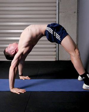 FitnessFAQs - Back Bridge Pro poster