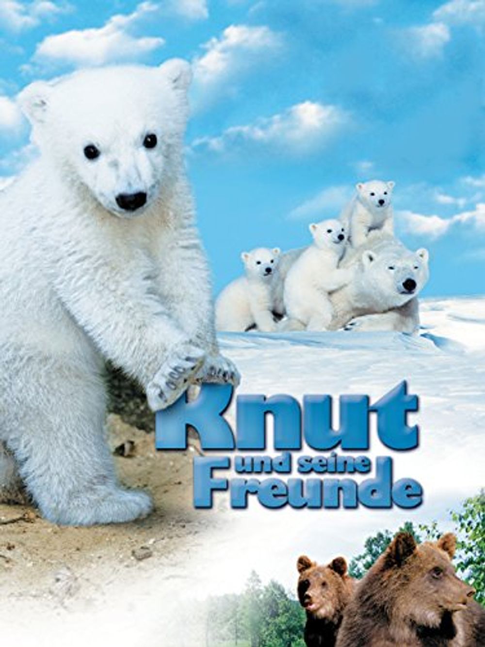Knut And Friends poster